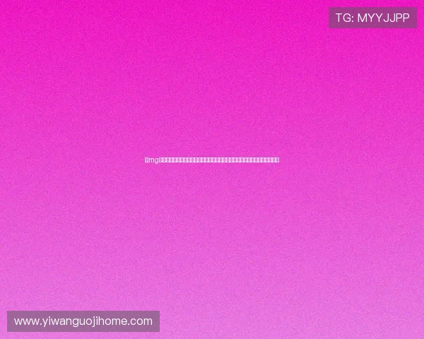 在mg娱乐游戏网址上获取世界杯赛场背后故事，了解球队战术布局与明星球员动态